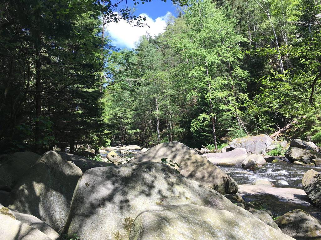 Apartman S Vyhledem Na Jezero Lipno nad Vltavou Εξωτερικό φωτογραφία